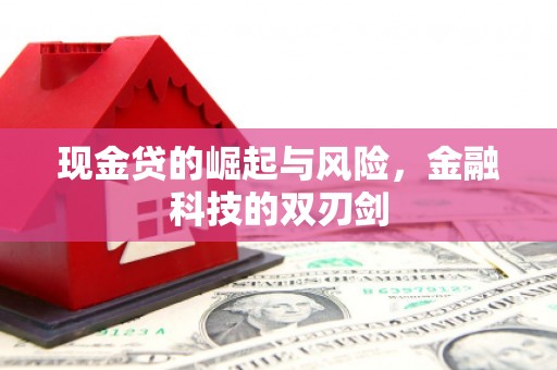西林现金贷的崛起与风险，金融科技的双刃剑