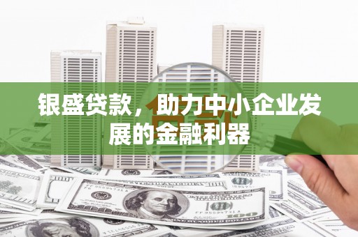 西林银盛贷款，助力中小企业发展的金融利器