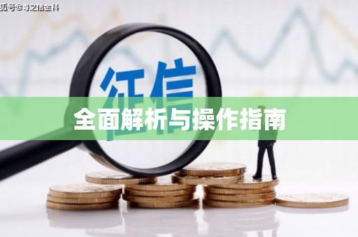 西林全面解析与操作指南