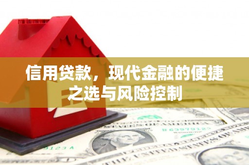 西林信用贷款，现代金融的便捷之选与风险控制
