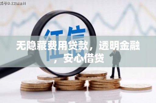 西林无隐藏费用贷款，透明金融，安心借贷