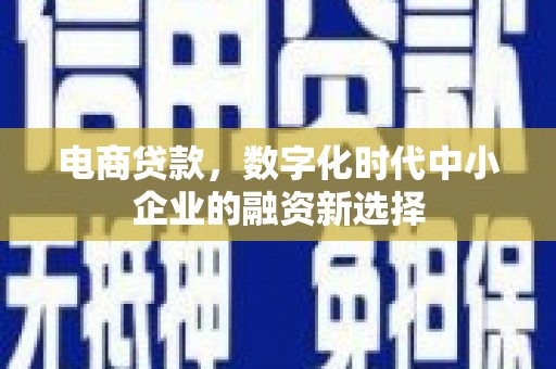 西林电商贷款，数字化时代中小企业的融资新选择