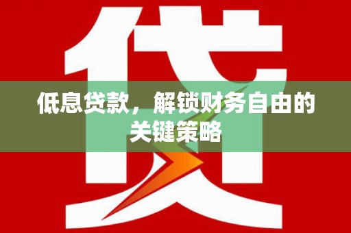 西林低息贷款，解锁财务自由的关键策略