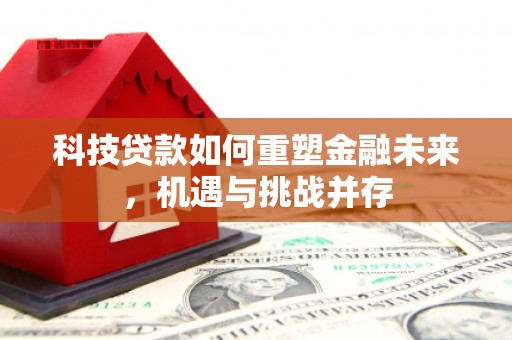 西林科技贷款如何重塑金融未来，机遇与挑战并存