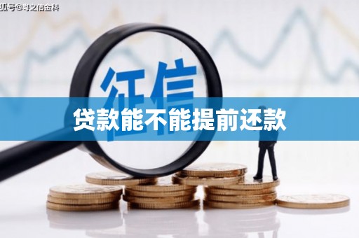 西林贷款能不能提前还款