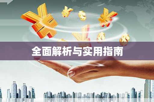 西林全面解析与实用指南