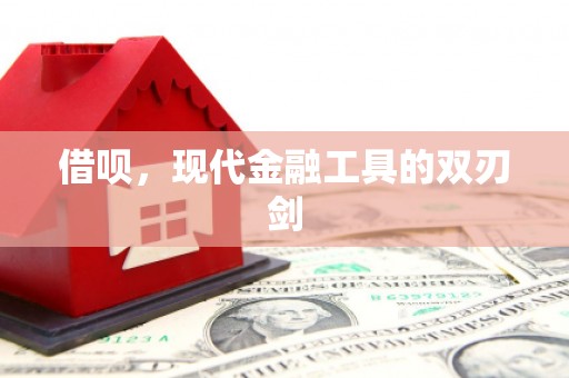西林借呗，现代金融工具的双刃剑