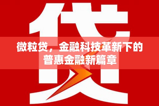 西林微粒贷，金融科技革新下的普惠金融新篇章
