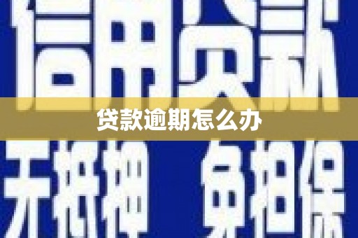 西林贷款逾期怎么办