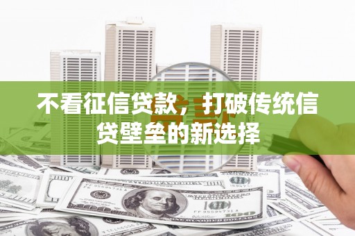 西林不看征信贷款，打破传统信贷壁垒的新选择