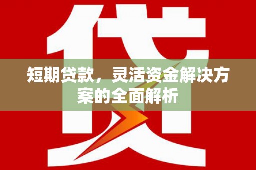 西林短期贷款，灵活资金解决方案的全面解析