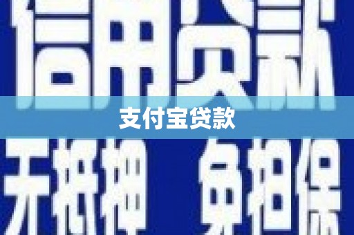 西林支付宝贷款