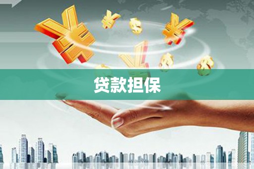 西林贷款担保