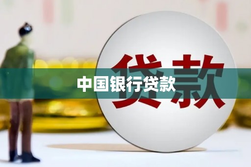 西林中国银行贷款