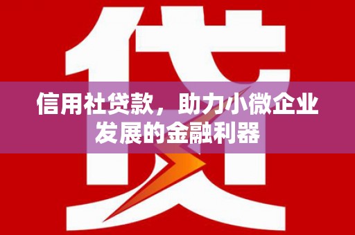 西林信用社贷款，助力小微企业发展的金融利器