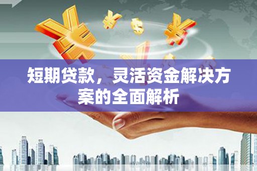 西林短期贷款，灵活资金解决方案的全面解析