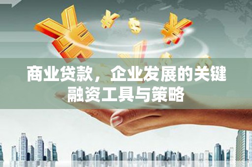 西林商业贷款，企业发展的关键融资工具与策略