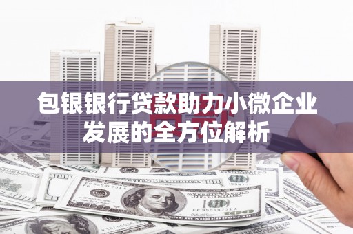 西林包银银行贷款助力小微企业发展的全方位解析