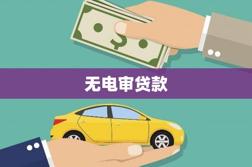 西林无电审贷款
