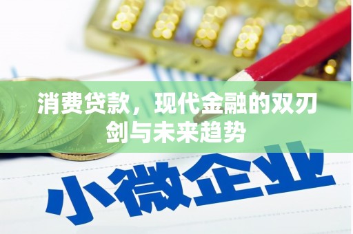 西林消费贷款，现代金融的双刃剑与未来趋势