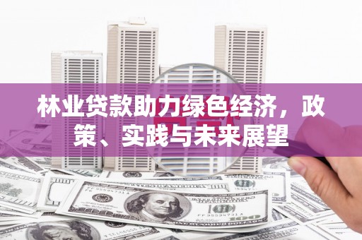西林林业贷款助力绿色经济，政策、实践与未来展望