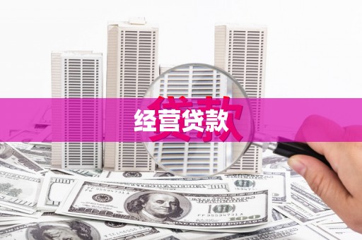 西林经营贷款
