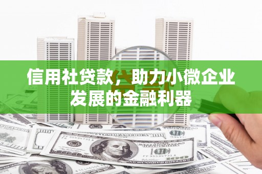 西林信用社贷款，助力小微企业发展的金融利器