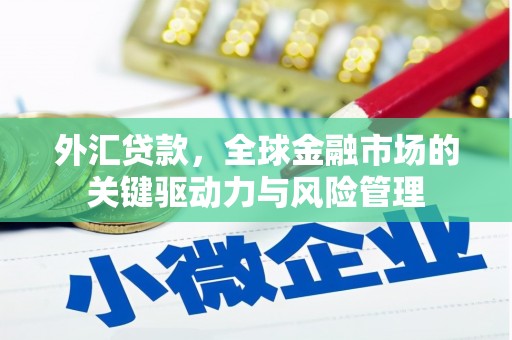 西林外汇贷款，全球金融市场的关键驱动力与风险管理