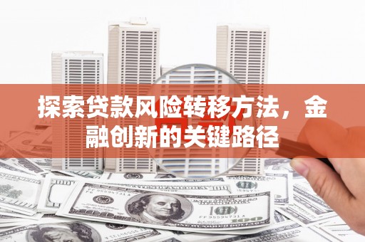 西林探索贷款风险转移方法，金融创新的关键路径