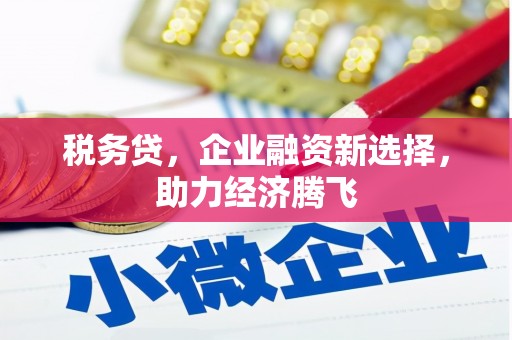 西林税务贷，企业融资新选择，助力经济腾飞