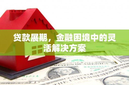 西林贷款展期，金融困境中的灵活解决方案