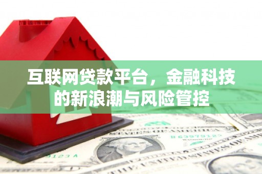 西林互联网贷款平台，金融科技的新浪潮与风险管控
