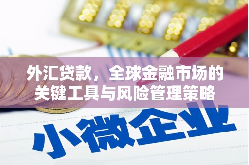 西林外汇贷款，全球金融市场的关键工具与风险管理策略