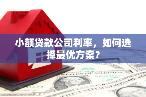 西林小额贷款公司利率，如何选择最优方案？