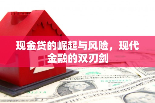 西林现金贷的崛起与风险，现代金融的双刃剑