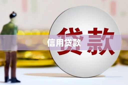 西林信用贷款