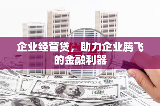 西林企业经营贷，助力企业腾飞的金融利器