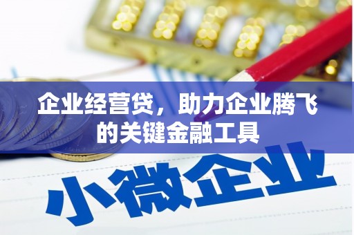 西林企业经营贷，助力企业腾飞的关键金融工具