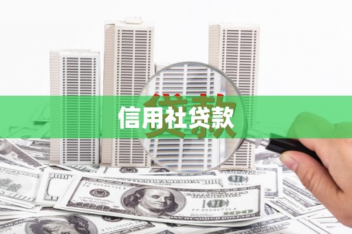 西林信用社贷款