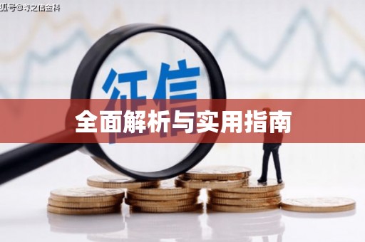 西林全面解析与实用指南