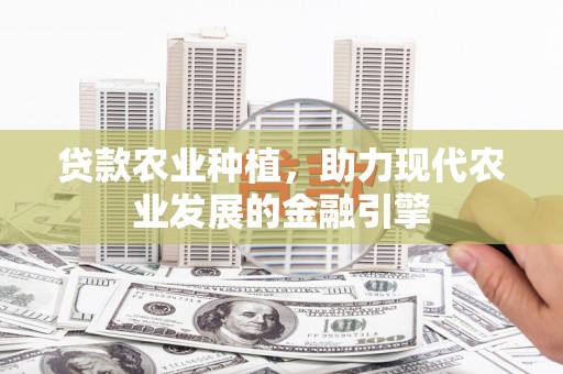 西林贷款农业种植，助力现代农业发展的金融引擎