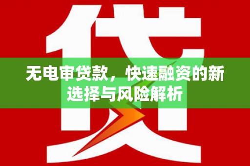 西林无电审贷款，快速融资的新选择与风险解析