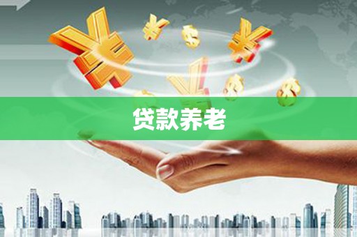 西林贷款养老