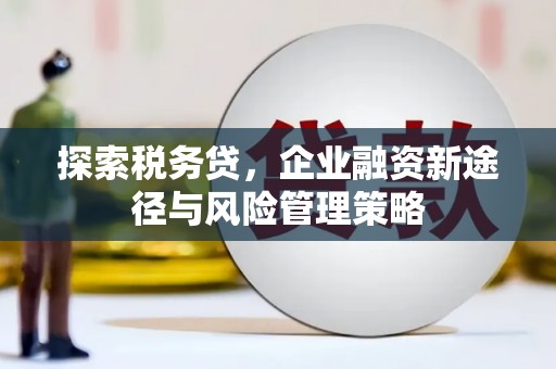 西林探索税务贷，企业融资新途径与风险管理策略
