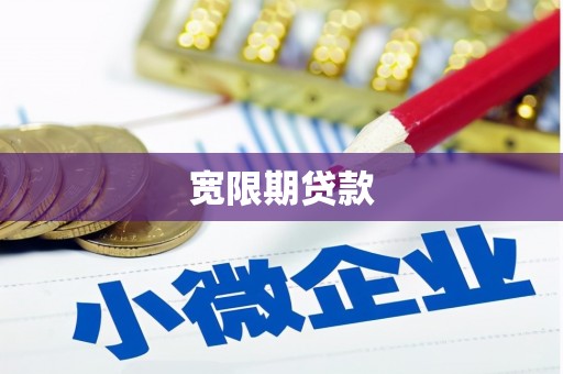 西林宽限期贷款