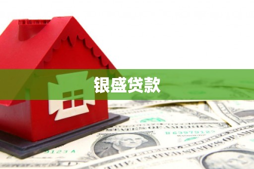 西林银盛贷款