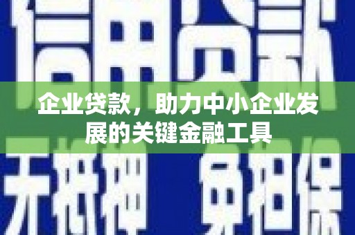 西林企业贷款，助力中小企业发展的关键金融工具