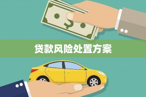 西林贷款风险处置方案