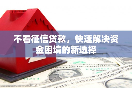 西林不看征信贷款，快速解决资金困境的新选择