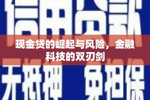 西林现金贷的崛起与风险，金融科技的双刃剑